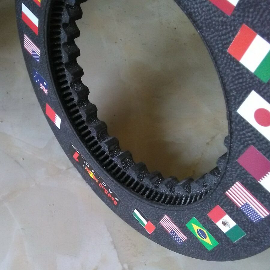 Red Bull F1 Brake Disc F1 Accessories