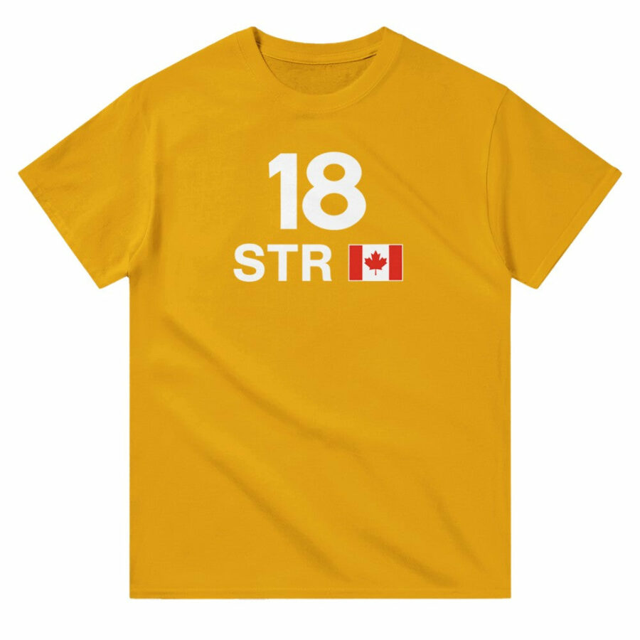 Lance Stroll 2025 Race Calendar Formula 1 F1 T-Shirt Aston Martin F1 Team