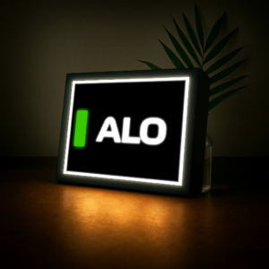 Fenando Alonso Name Abbreviation with LED Lighting, Formula 1, F1 Racing Sports Car Racing Gifts by BoxBox24
