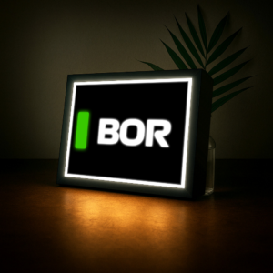 Gabriel Bortoleto (Sauber F1) Name Abbreviation with LED Lighting, Formula 1, F1 Racing Sports Car Racing Gifts by BoxBox24