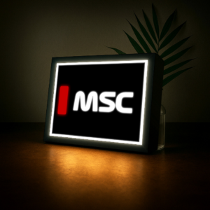 Michael Schumacher (Ferrari F1) Name Abbreviation with LED Lighting, Formula 1, F1 Racing Formula 1 Memorabilia by BoxBox24